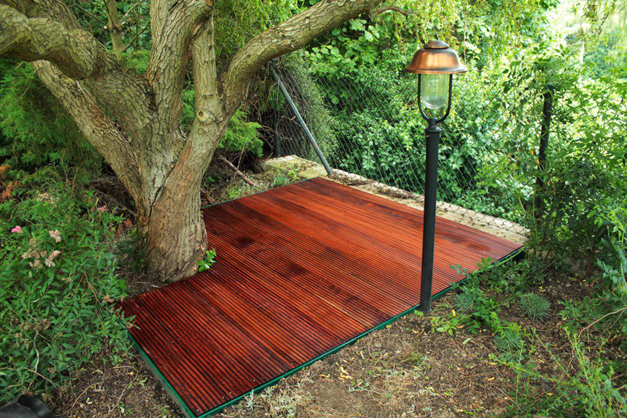 Terasa v Táboře - fotografie 5