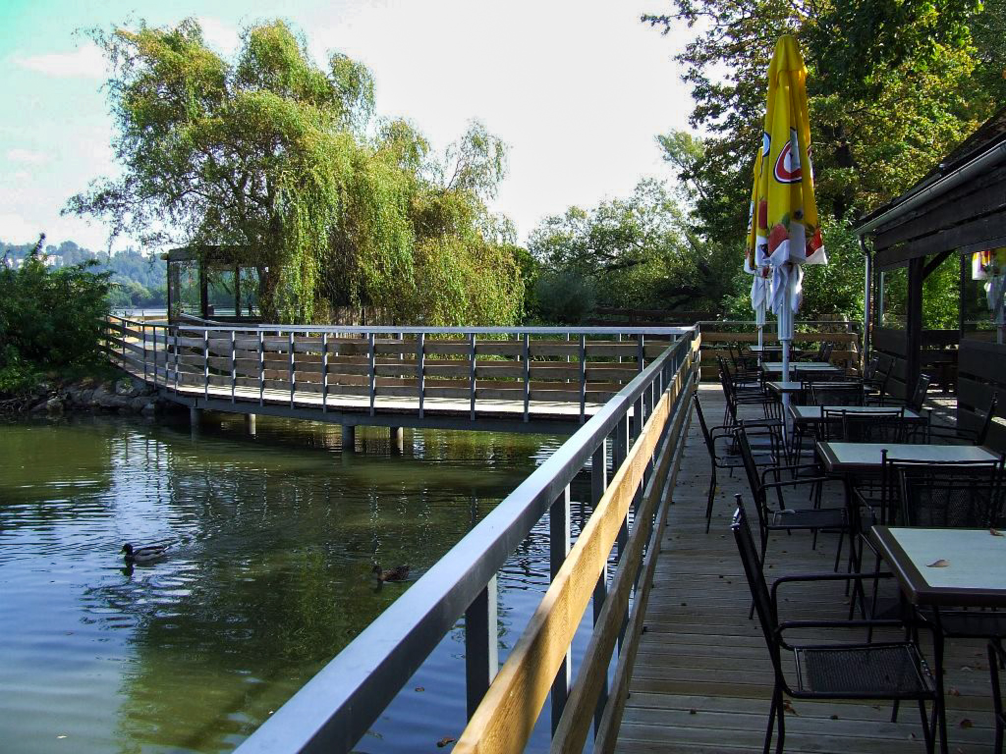 Terasa v Zoo Hluboké - fotografie 3