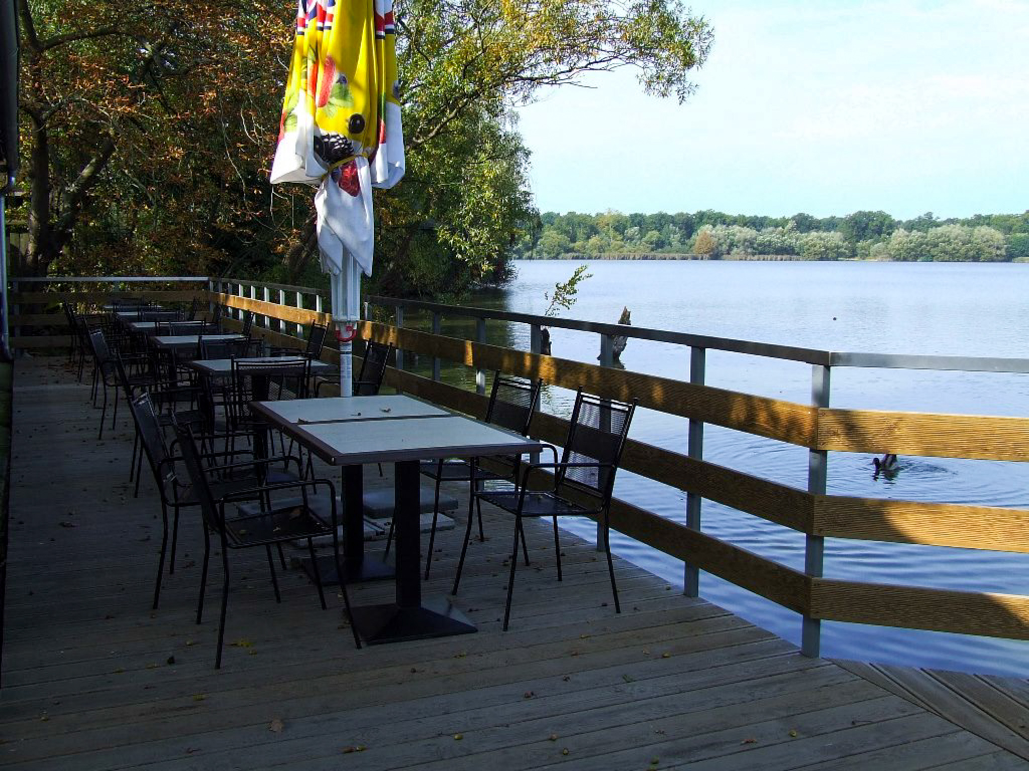 Terasa v Zoo Hluboké - fotografie 4